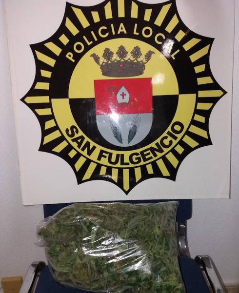 La Policía Local decomisa 12 plantas de marihuana