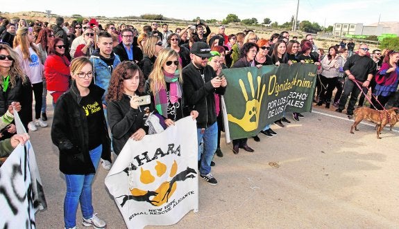 El Arca de Noé se trasladará el 31 de mayo tras renunciar a la prórroga y ceder el alcalde