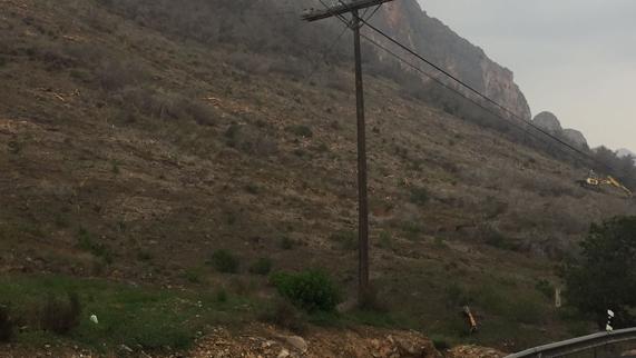 Los trabajos de retirada de pinos con Tomicus durarán dos meses