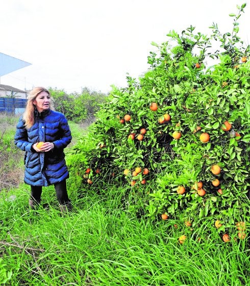 Reflotando la huerta murciana