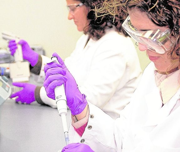 La UMH es la universidad pública que más empresas crea por cada 100 docentes