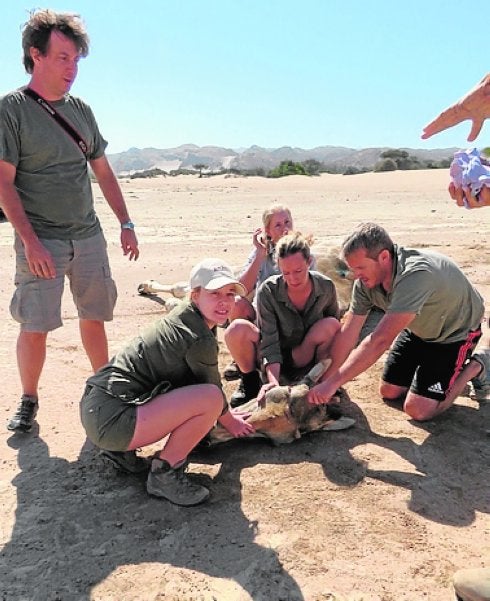 Río Safari viaja a África en apoyo a las jirafas