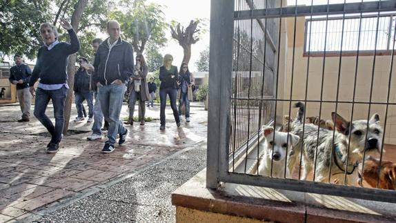 La nueva Protectora de Animales ejercerá el sacrificio cero y la esterilización obligatoria