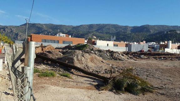 Ahora Murcia denuncia el arranque de palmeras en una urbanización de Santo Ángel