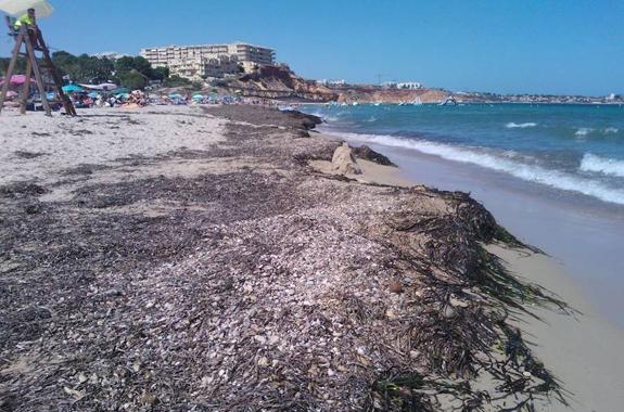 La Faoc reitera la carencia de servicios que arrastra el litoral