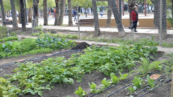 La Diputación invierte 300.000 euros para la dinamización agrícola