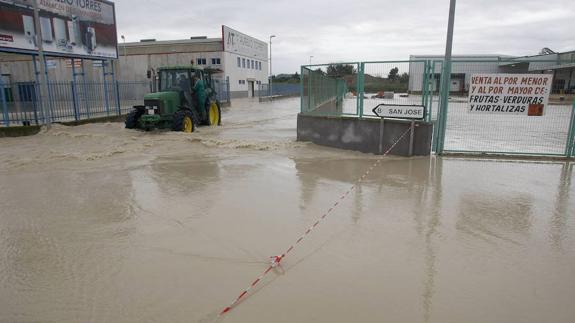 La Diputación destina 100.000 euros a los caminos dañados por el temporal