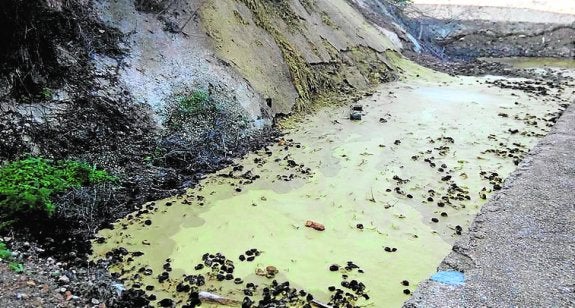 Cambiemos detecta balsas con vertidos en Los Ramos