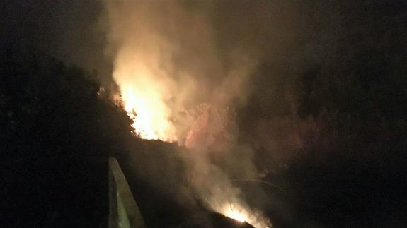 Extinguido un incendio declarado en uno de los márgenes del río Segura a su paso por Ojós