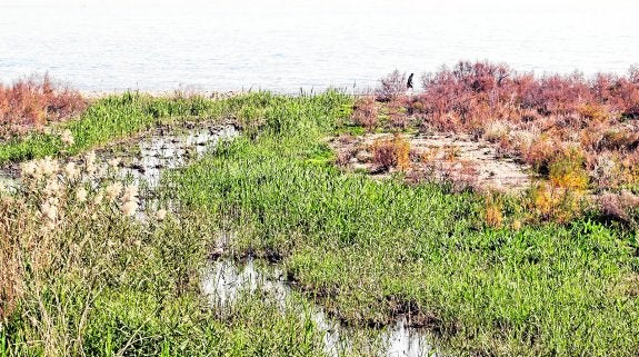 La Diputación ideó antes que el Consell los miniembalses para recoger las lluvias