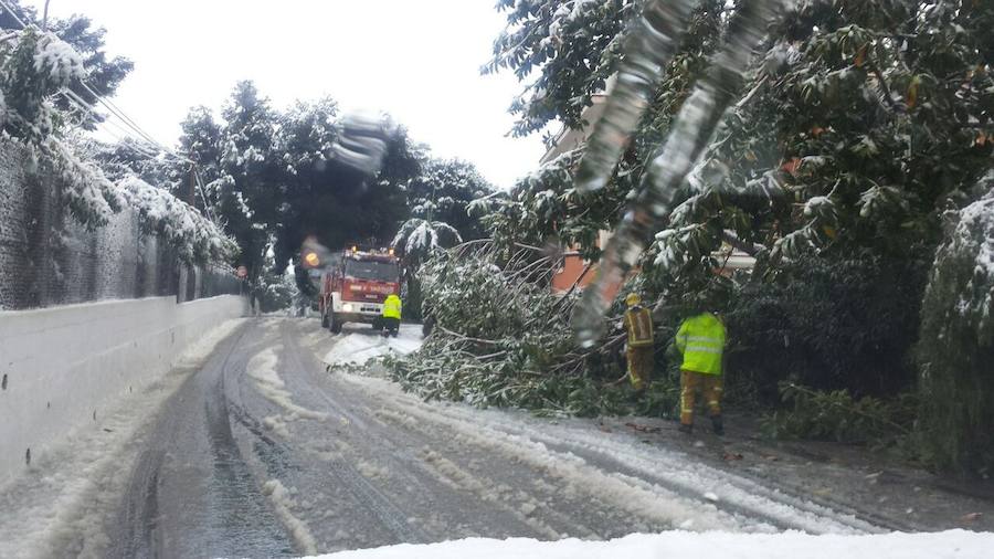 Las quitanieves se afanan en las carreteras del interior Alicante
