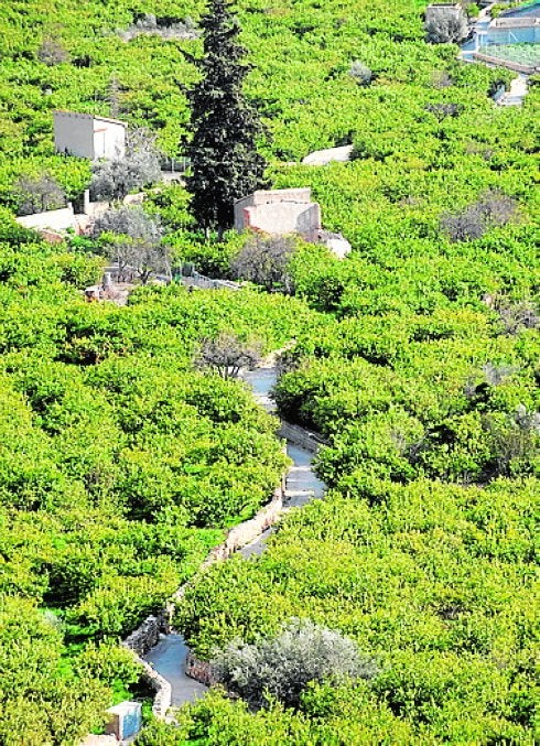 Caramucel organiza una ruta a la huerta de Ricote