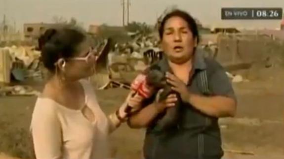 Una mujer intenta amamantar un cochinillo en directo en televisión