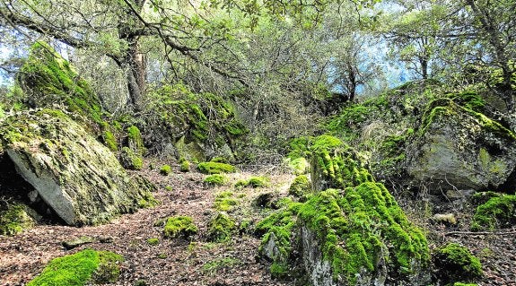 Moratalla presume de naturaleza