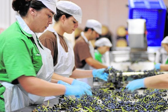 Bodegas Luzón venderá 560.000 botellas de vino a Norteamérica
