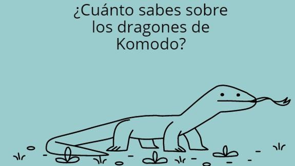 Google celebra el 37º aniversario del Parque Nacional de Komodo con un 'doodle' y un test