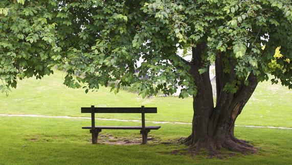 Muere un anciano en el banco de una residencia y nadie se da cuenta