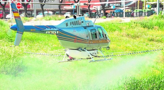 Sanidad reducirá los focos de mosquito utilizando los murciélagos como aliados