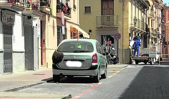 Un enjambre de abejas al volante