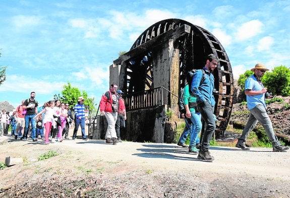 Más de 200 personas participan en las jornadas sobre el Valle de Ricote