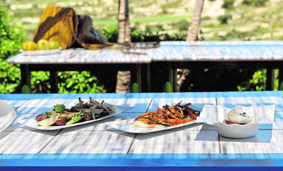 La turmicultura llega a la mesa