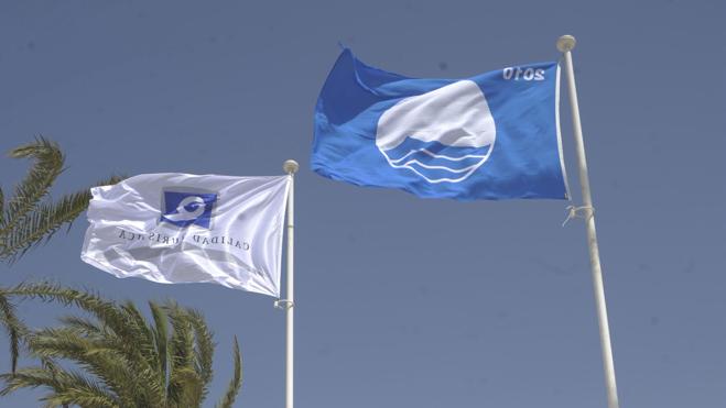 El Mar Menor pierde todas sus banderas azules por el mal estado de las aguas en 2016