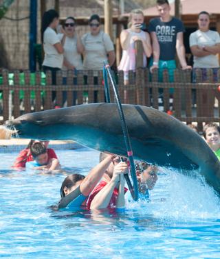 Terra Natura Murcia Cumple Diez Anos La Verdad